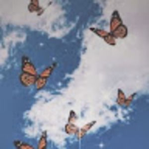 Meet your Posher, Mia